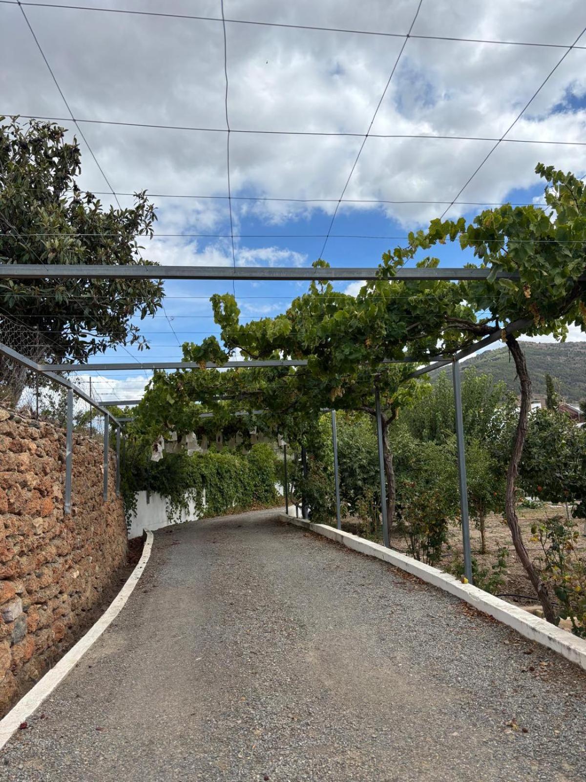 El Domingo En El Valle Fondón Exteriör bild